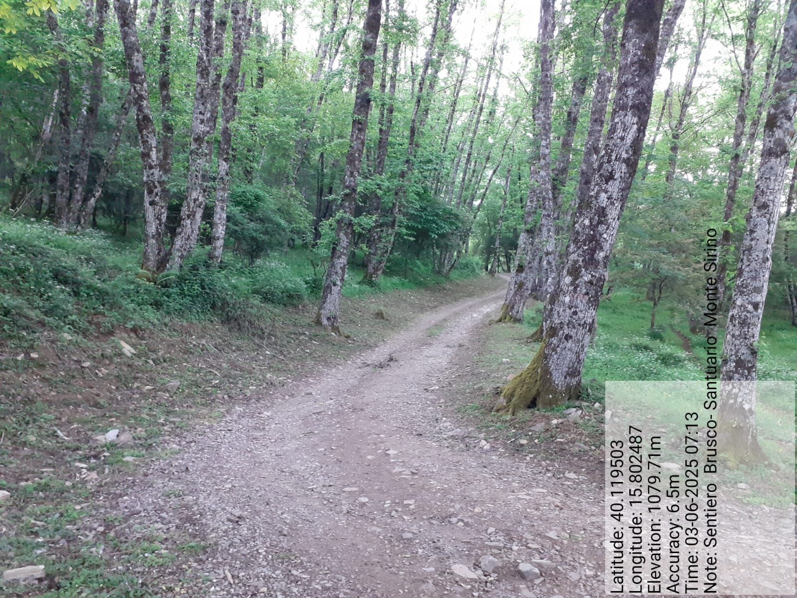 Galleria Fotografica Immagine