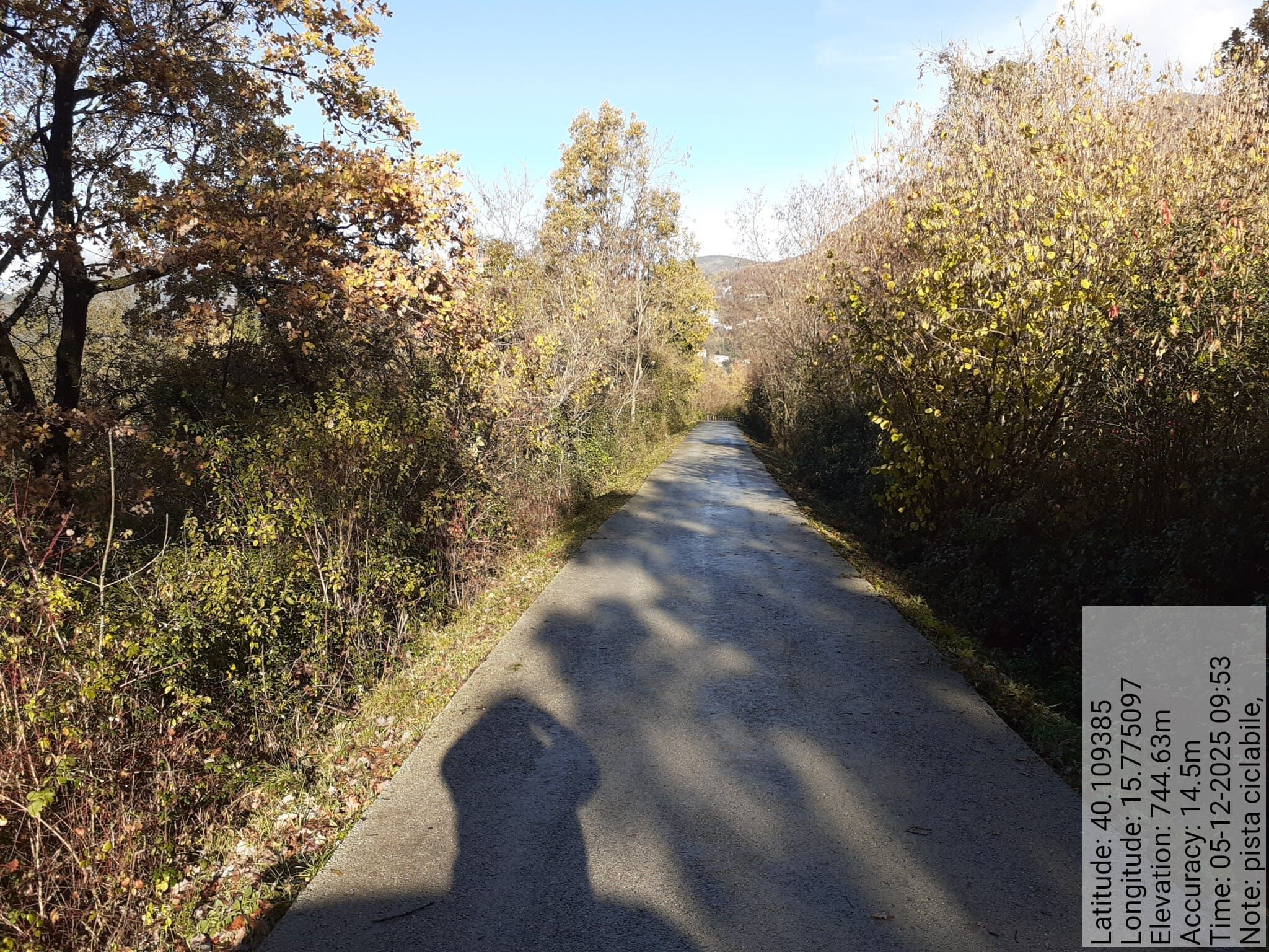 Galleria Fotografica Immagine