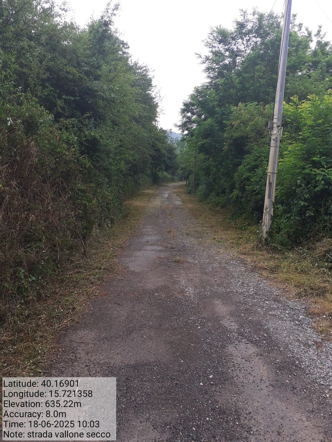 Galleria Fotografica Immagine