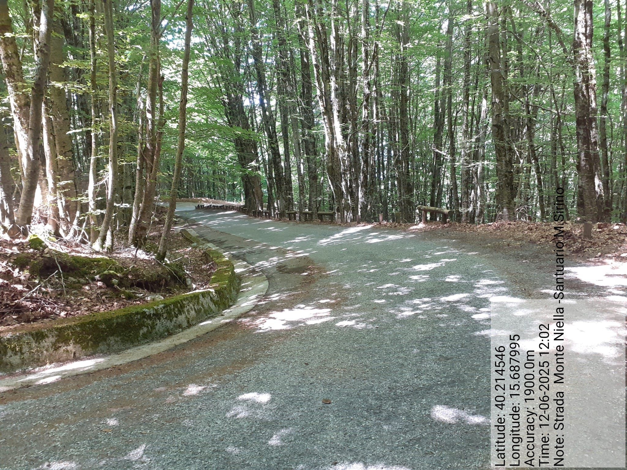 Galleria Fotografica Immagine