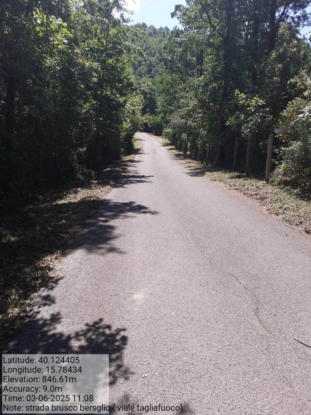 Galleria Fotografica Immagine