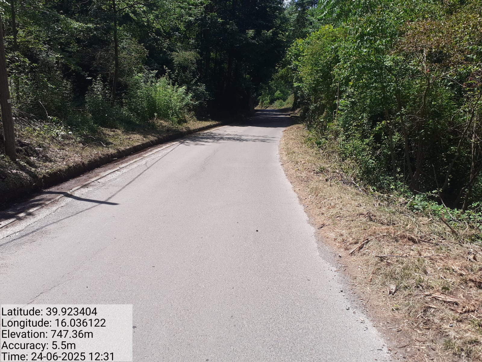 Galleria Fotografica Immagine