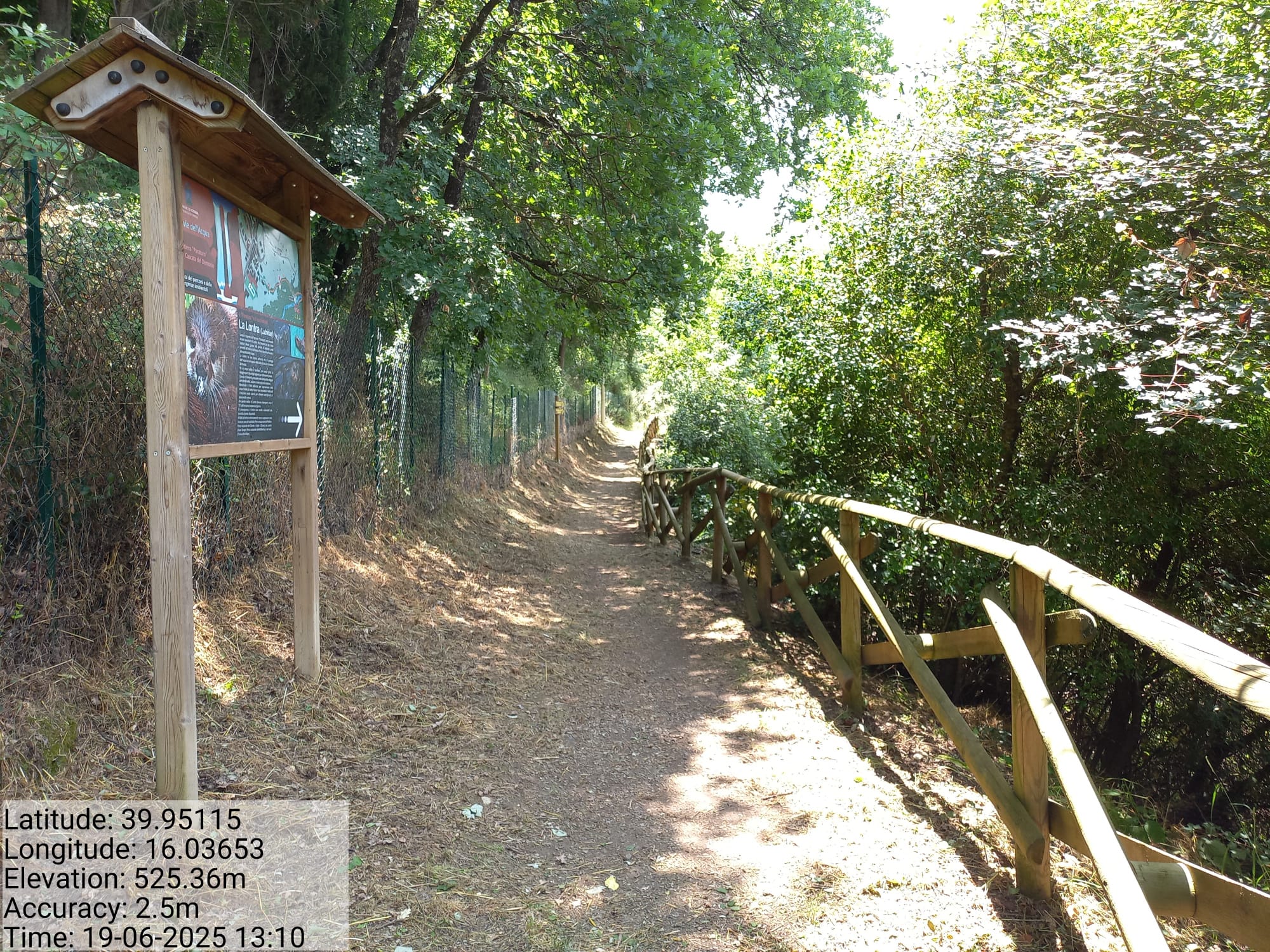 Galleria Fotografica Immagine