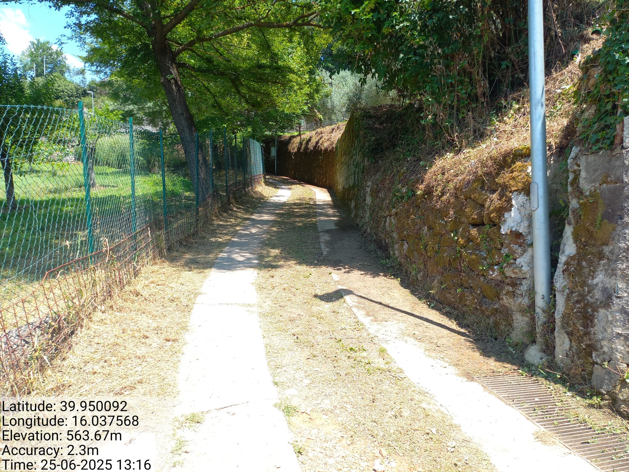 Galleria Fotografica Immagine