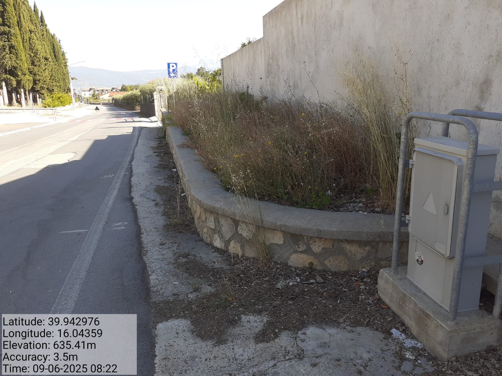 Galleria Fotografica Immagine