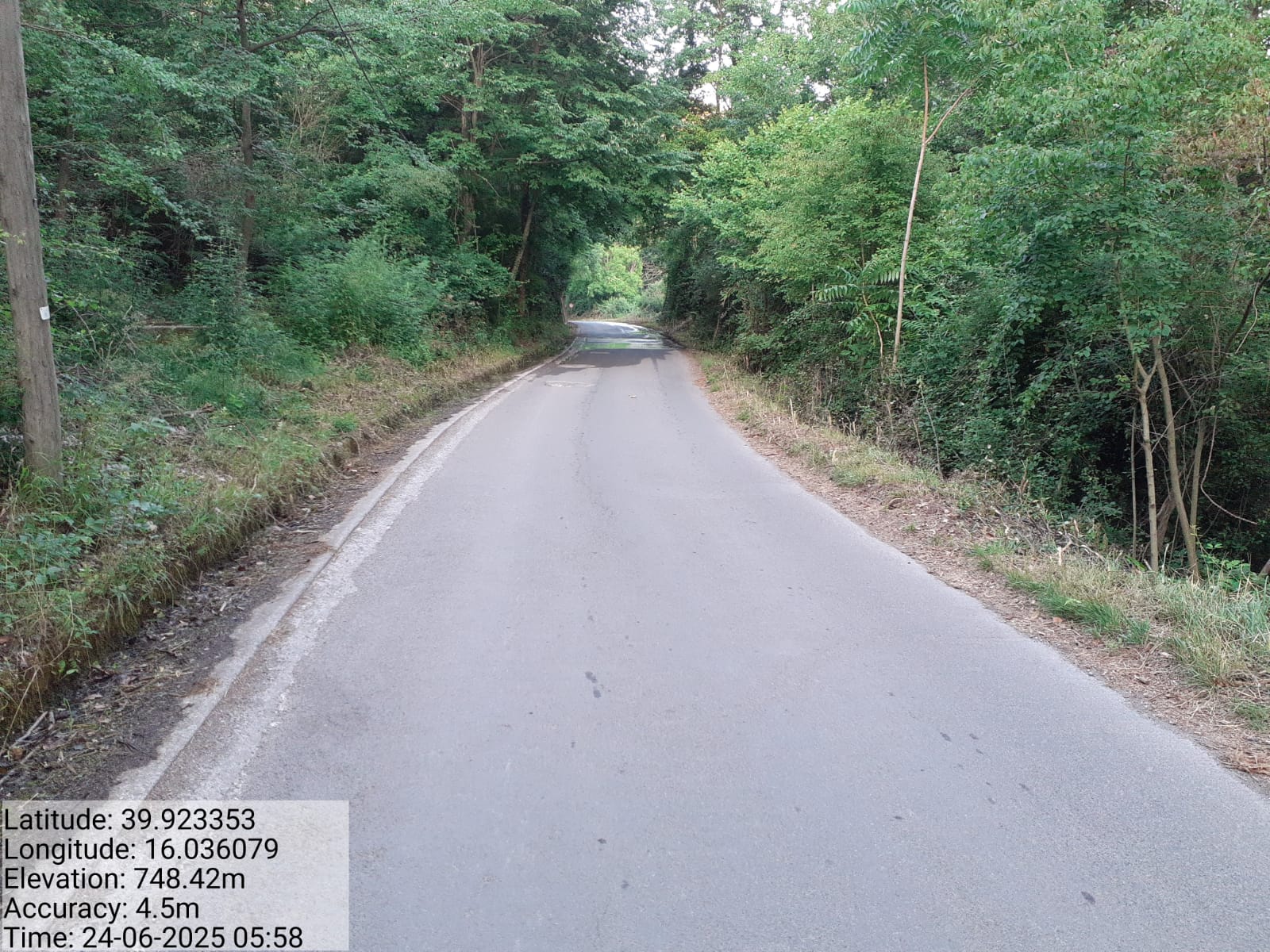 Galleria Fotografica Immagine