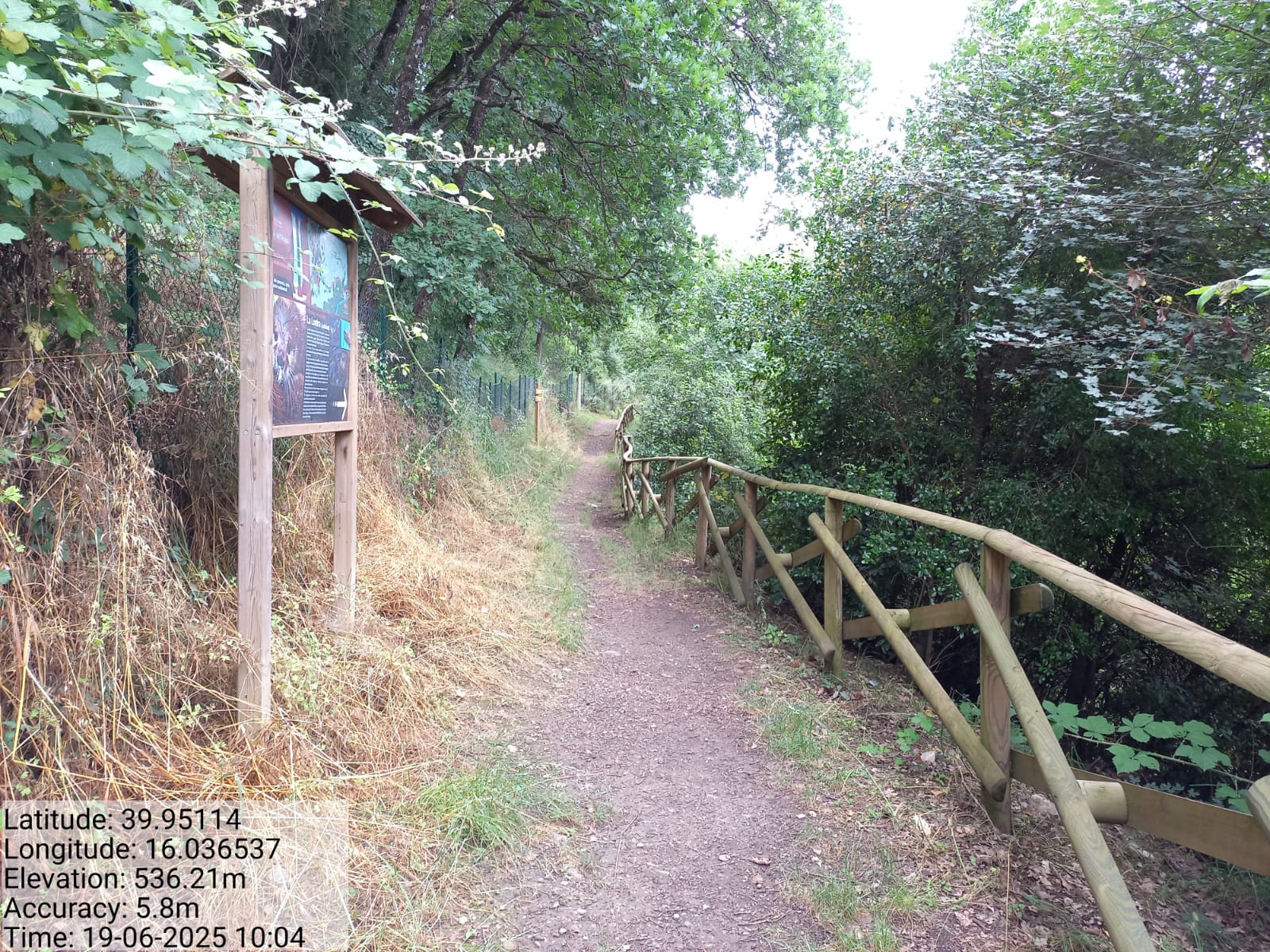 Galleria Fotografica Immagine