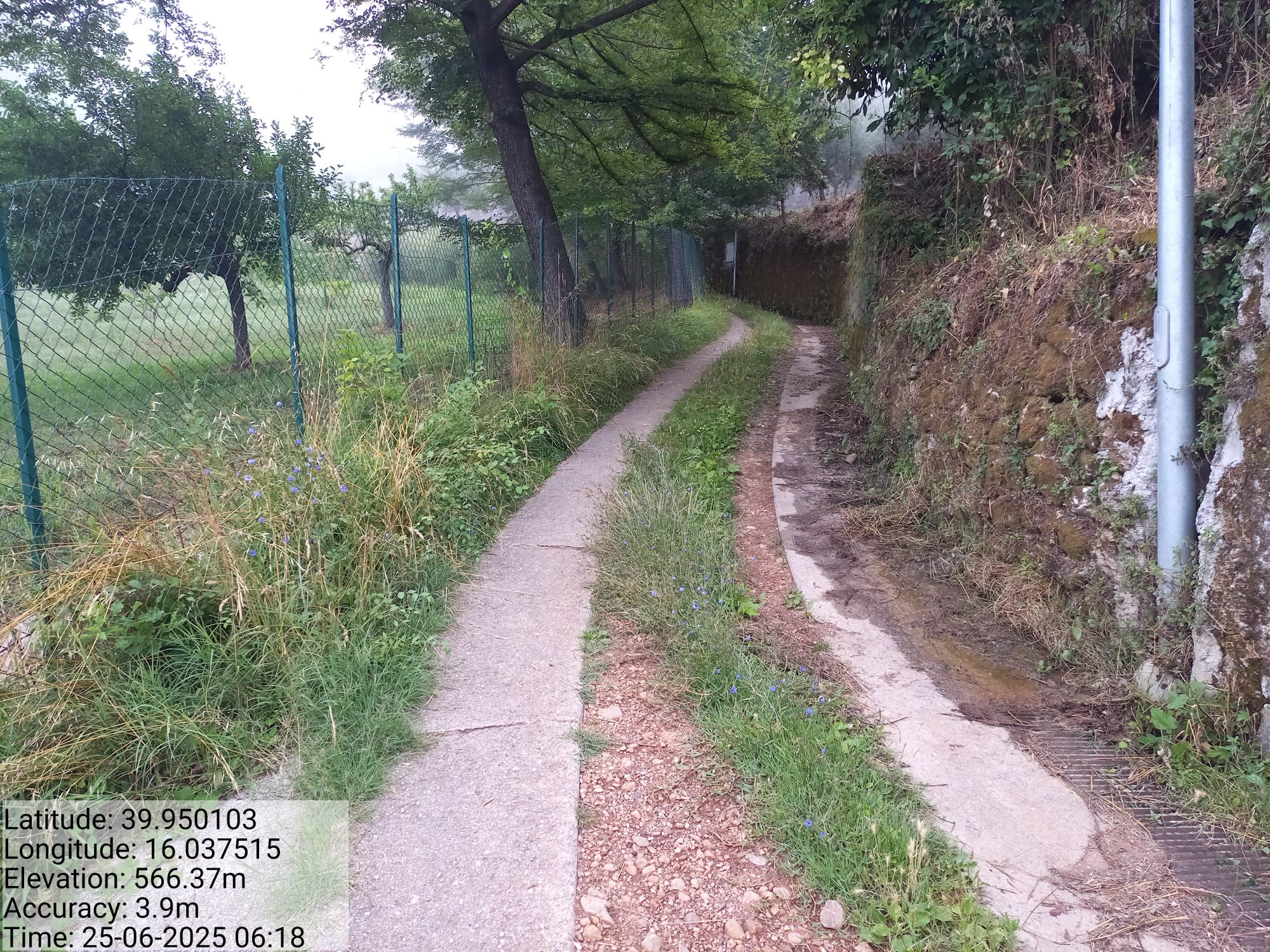 Galleria Fotografica Immagine