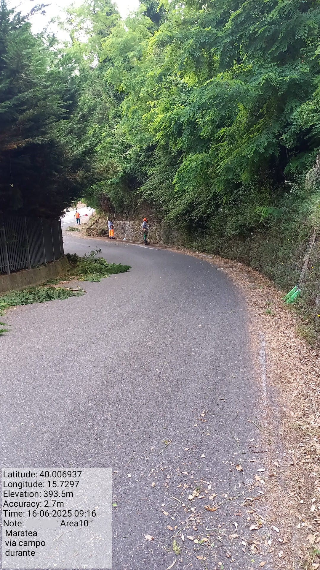 Galleria Fotografica Immagine