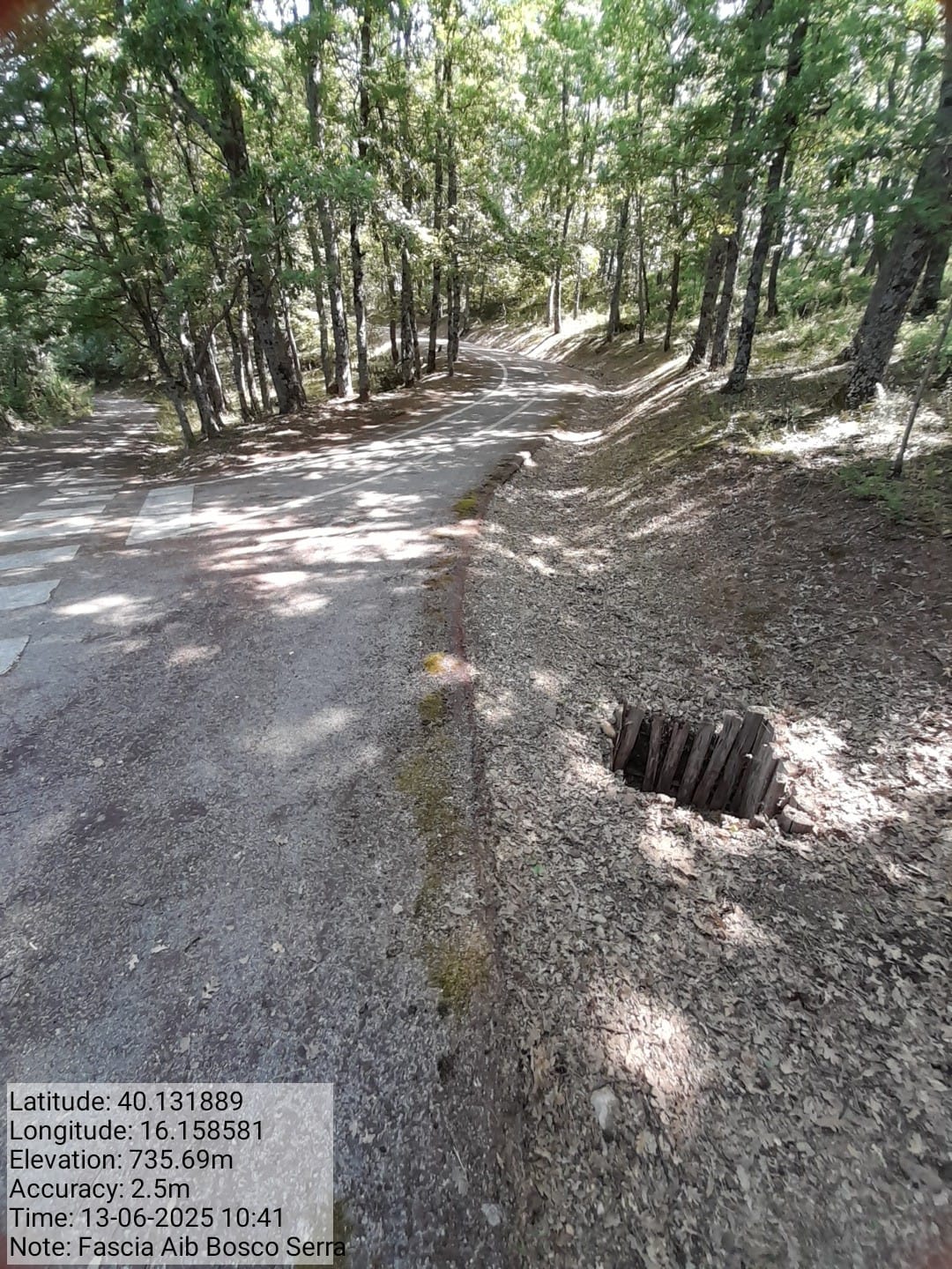 Galleria Fotografica Immagine