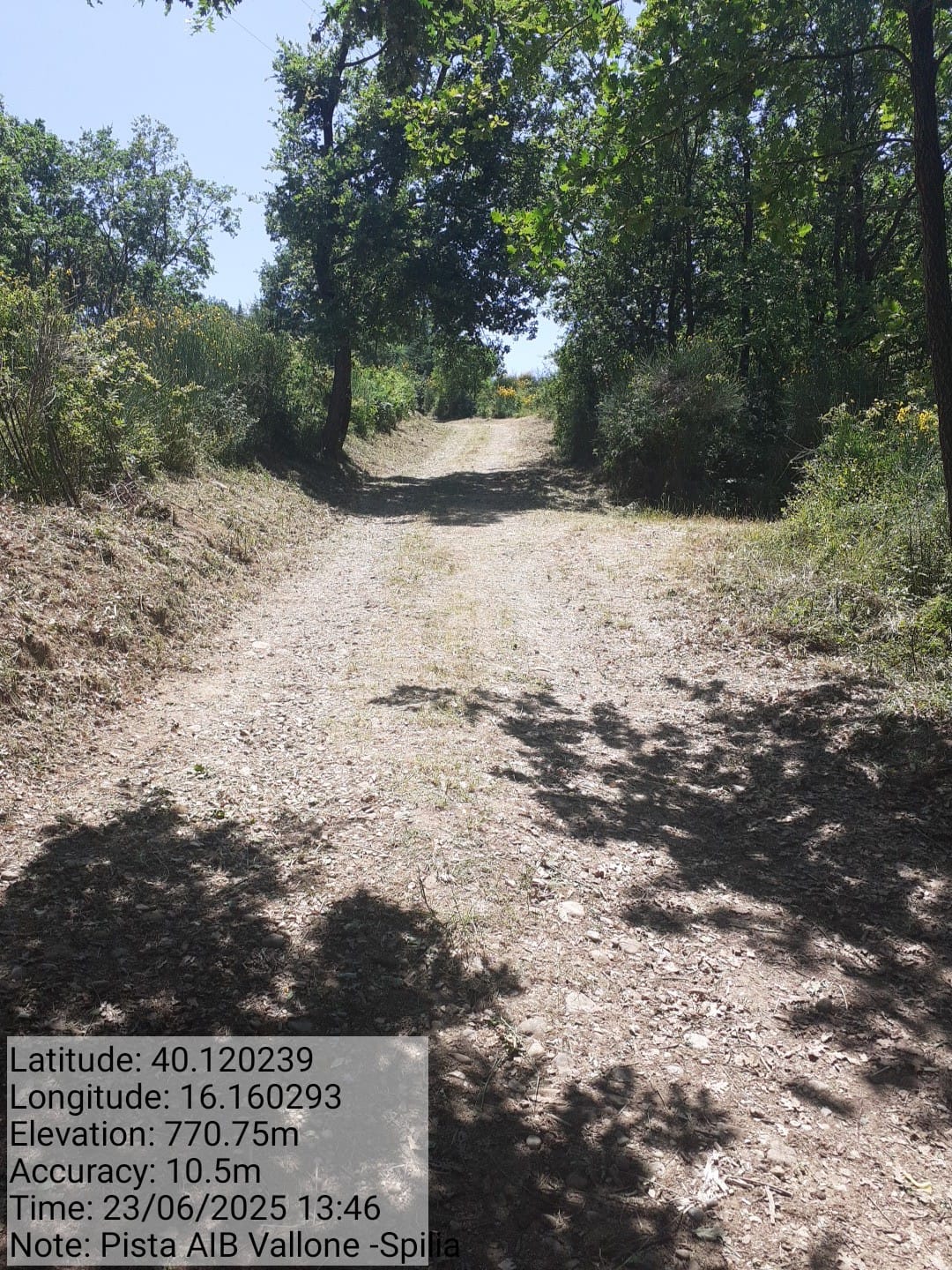 Galleria Fotografica Immagine