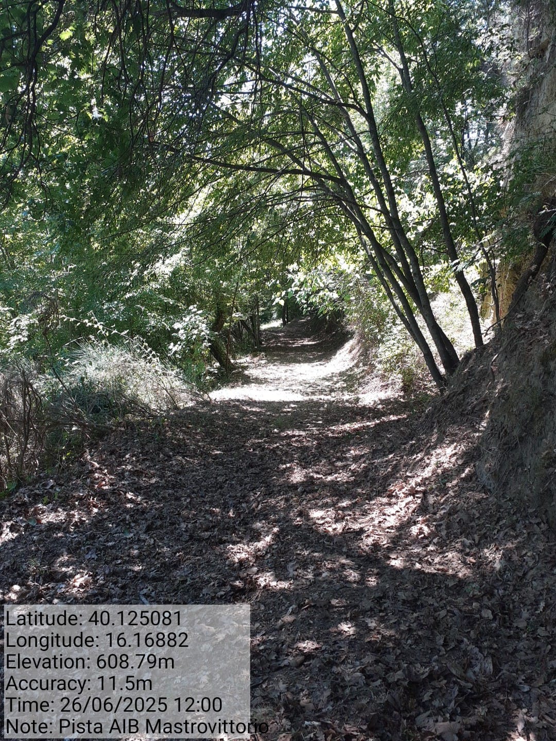 Galleria Fotografica Immagine