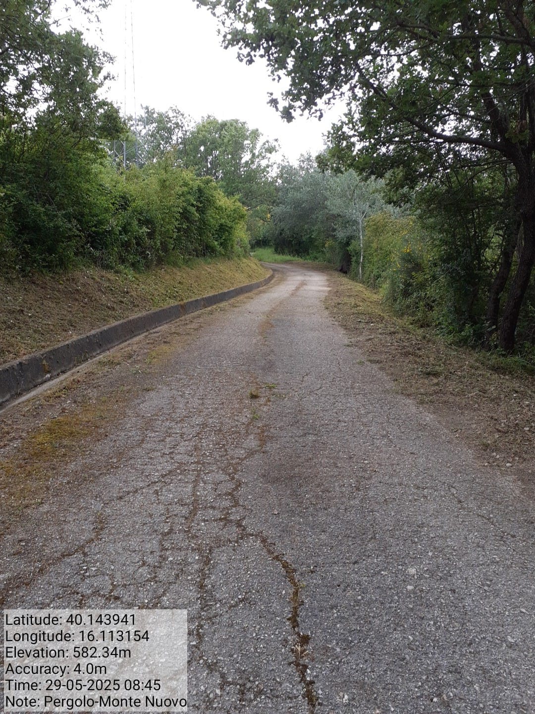 Galleria Fotografica Immagine