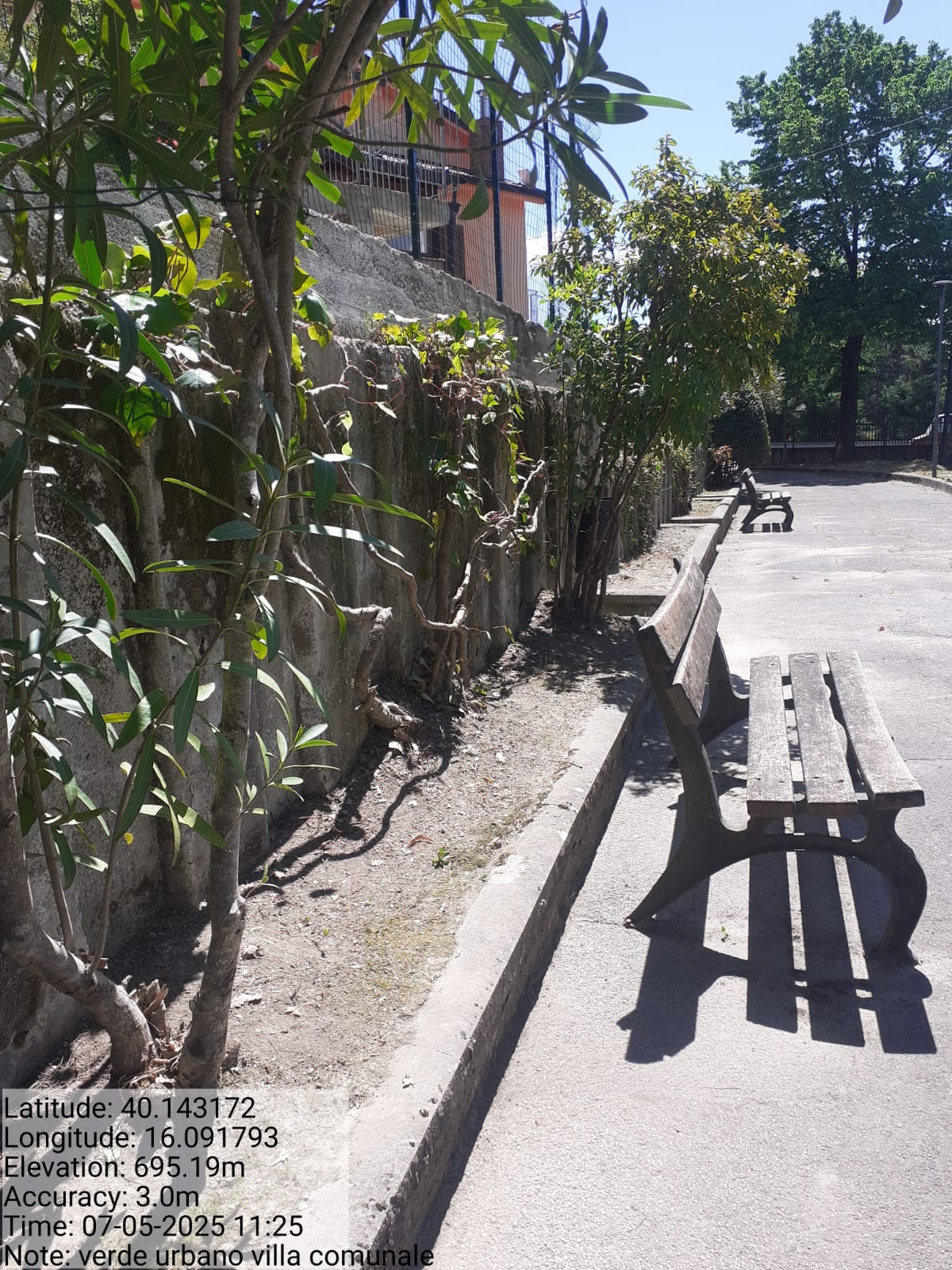 Galleria Fotografica Immagine