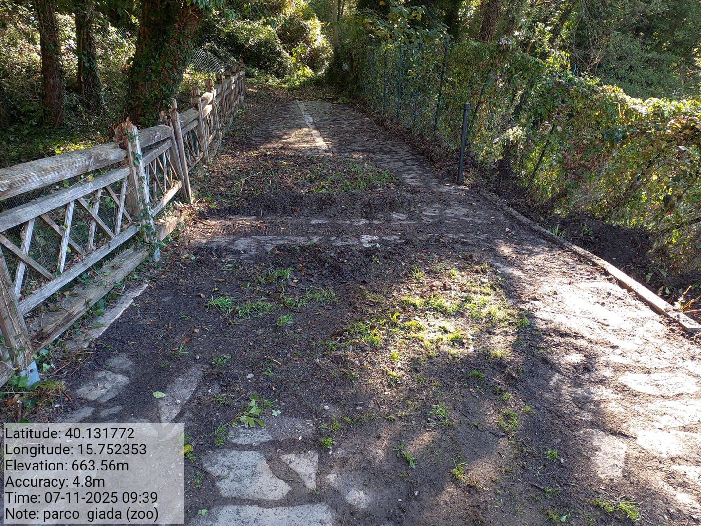 Galleria Fotografica Immagine