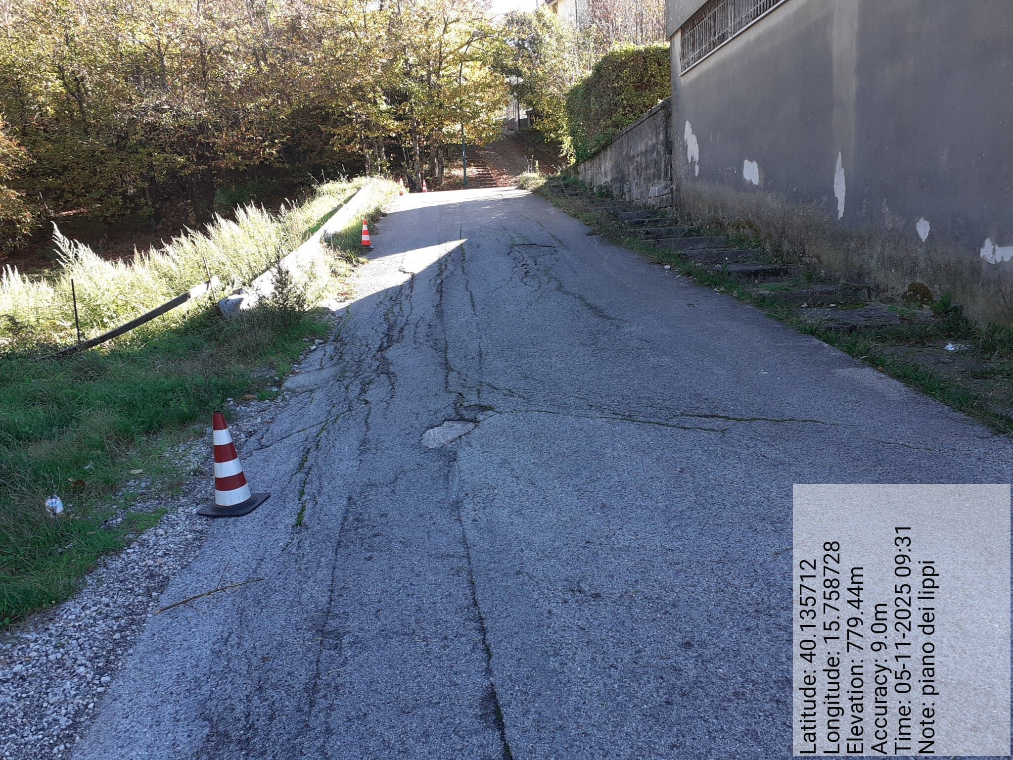 Galleria Fotografica Immagine