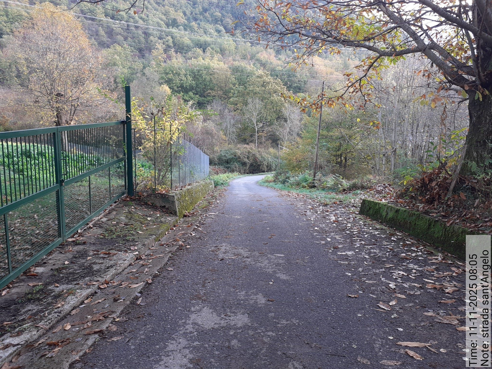 Galleria Fotografica Immagine