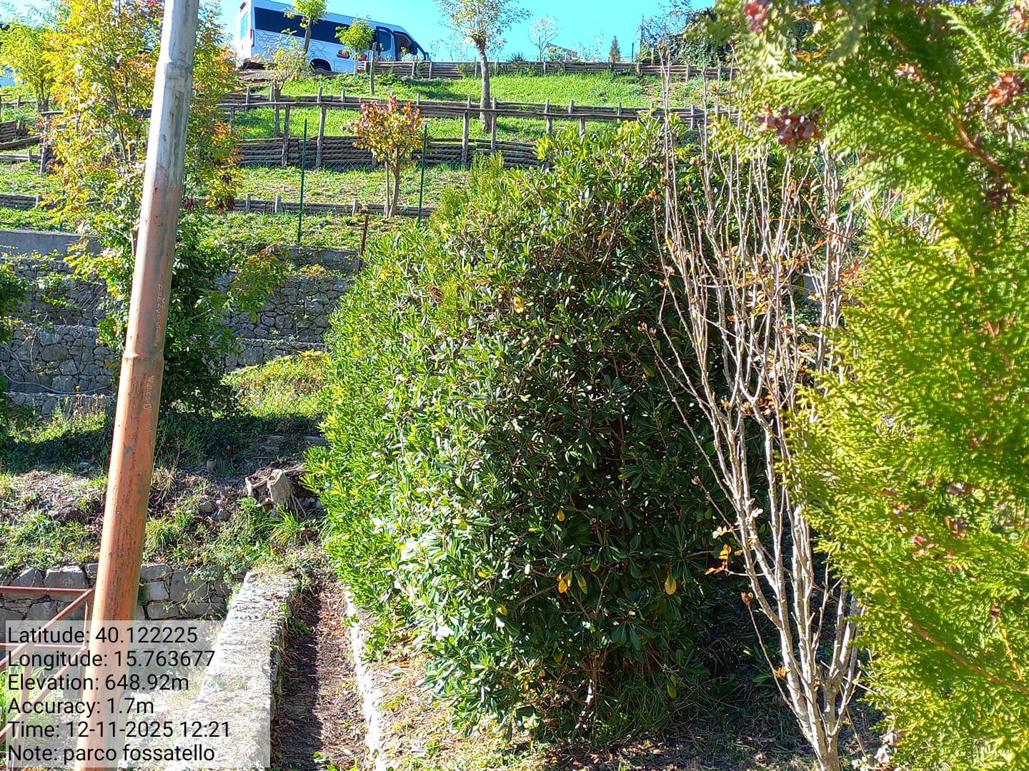 Galleria Fotografica Immagine