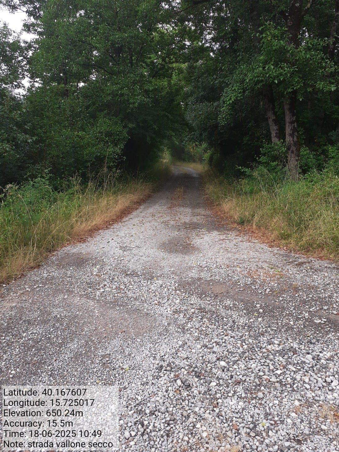 Galleria Fotografica Immagine