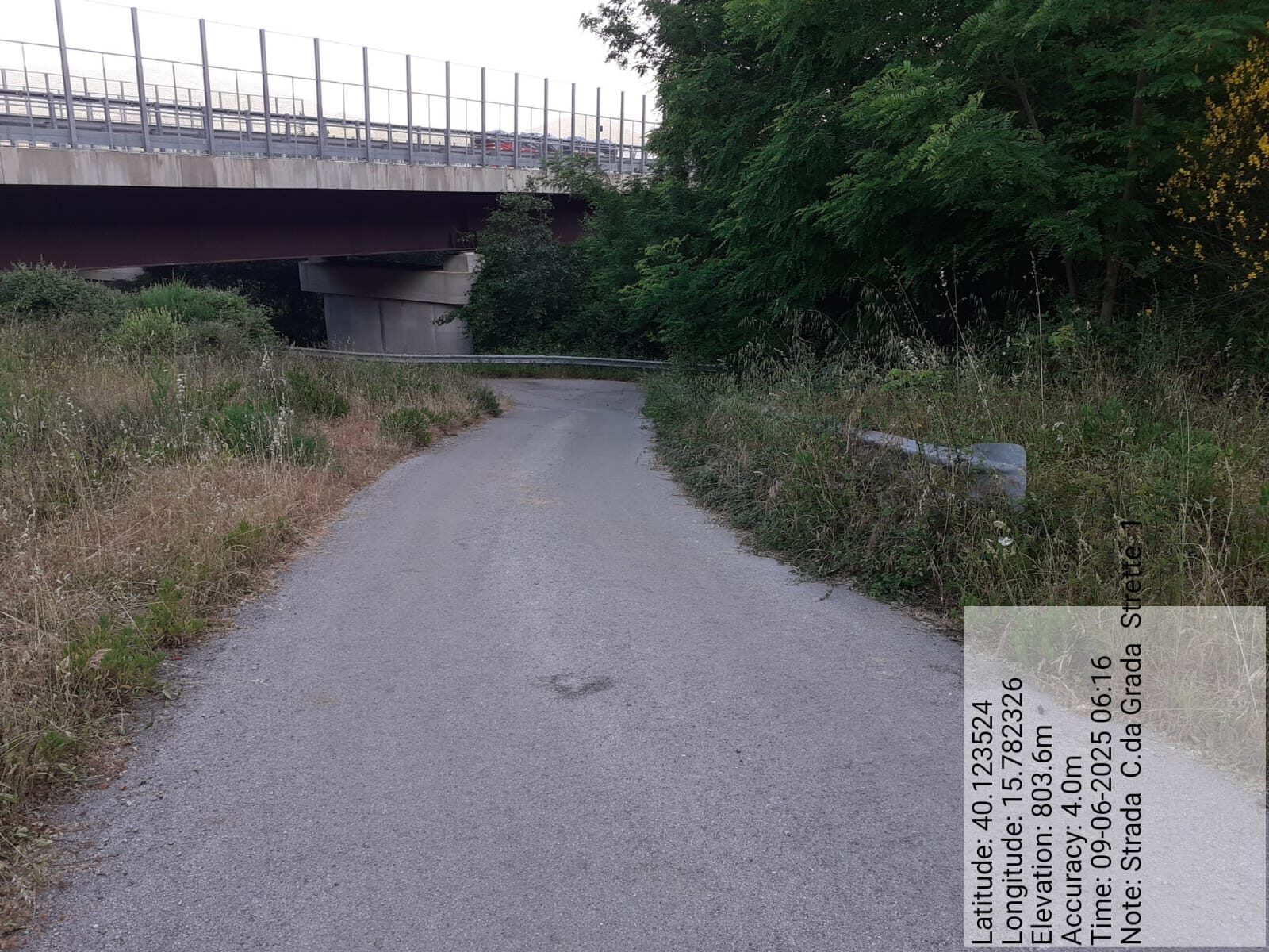 Galleria Fotografica Immagine