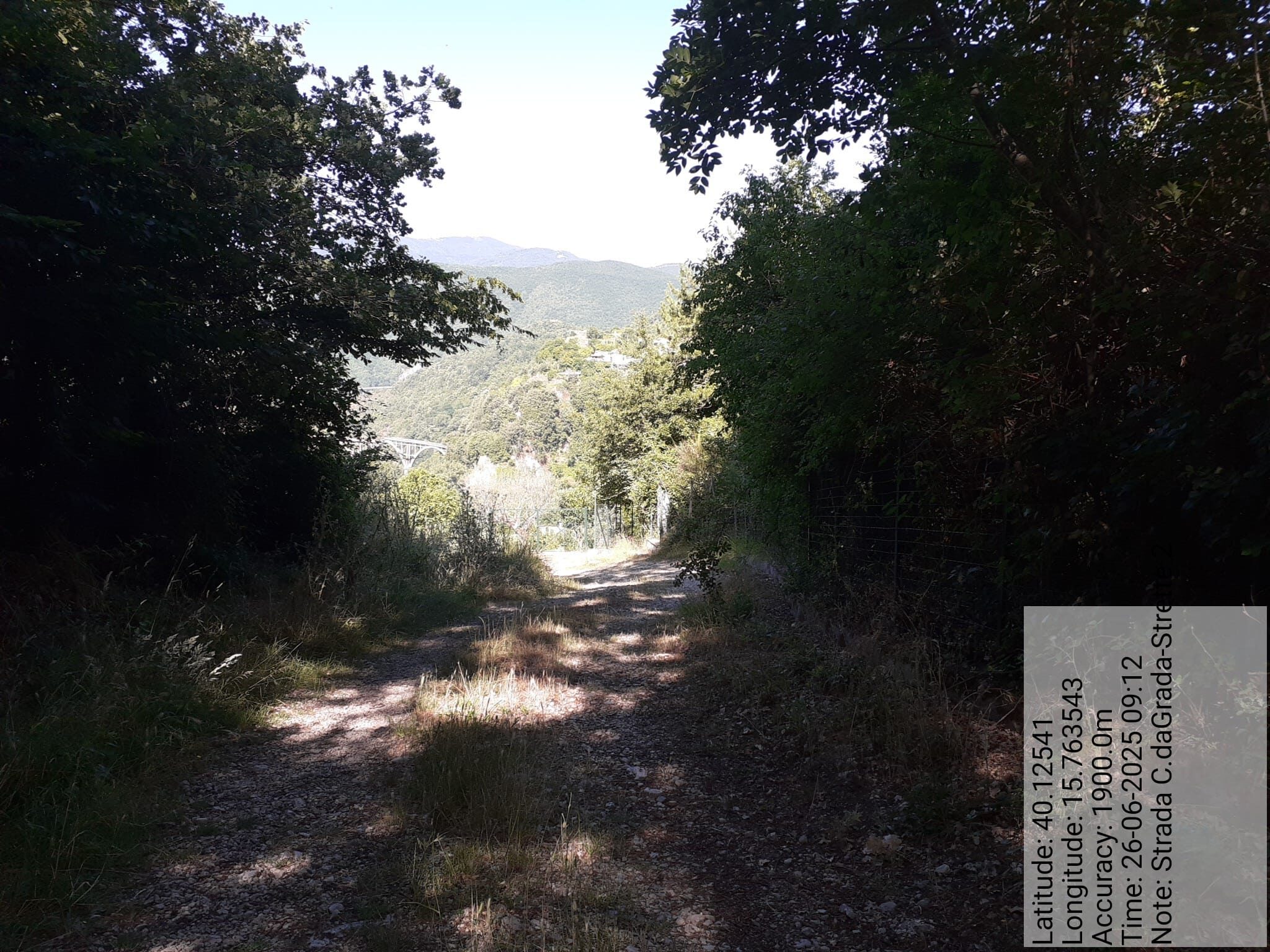 Galleria Fotografica Immagine