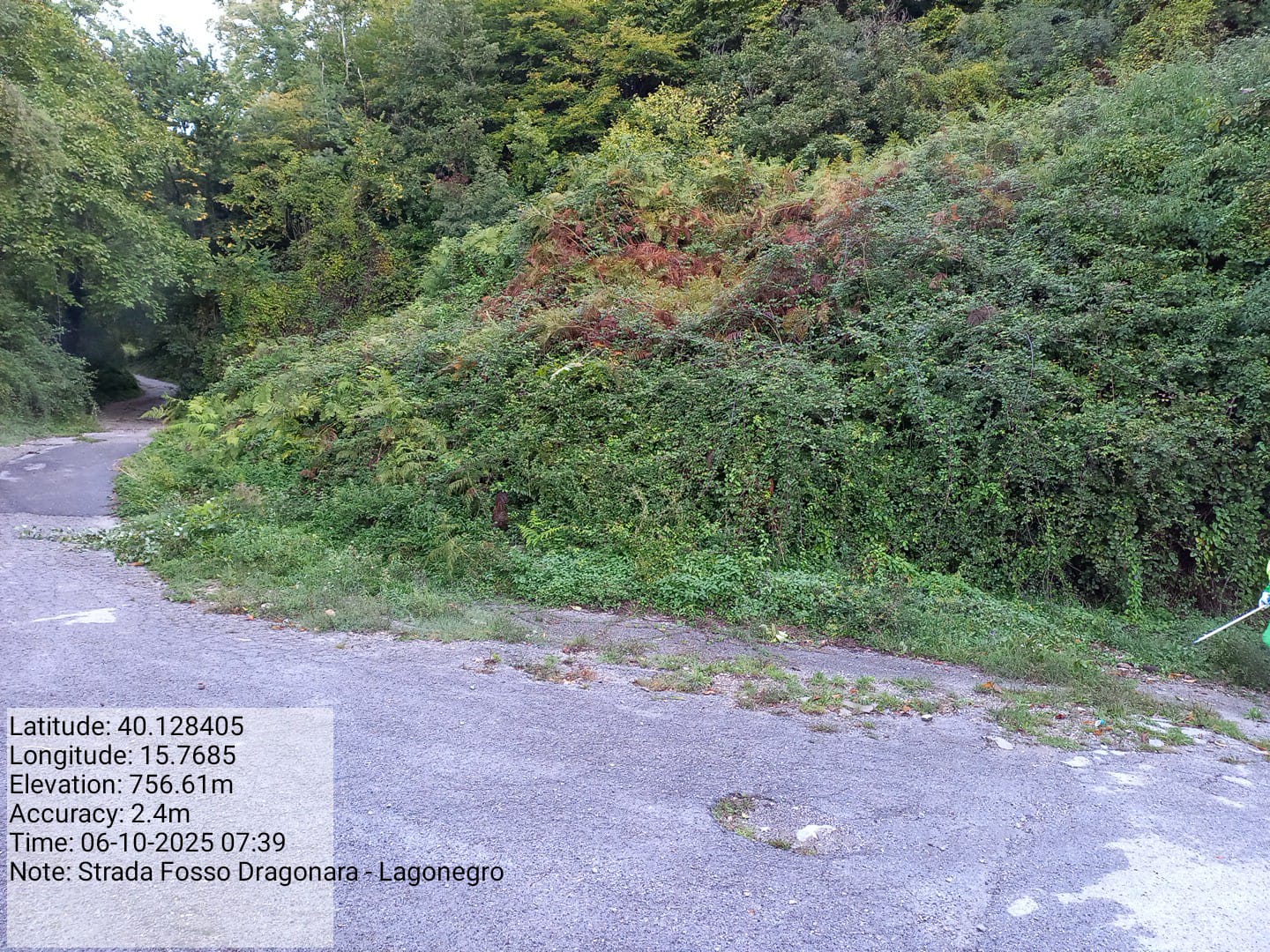 Galleria Fotografica Immagine