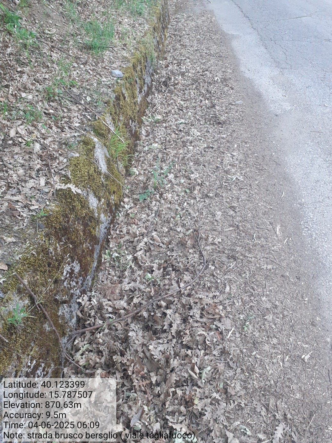 Galleria Fotografica Immagine