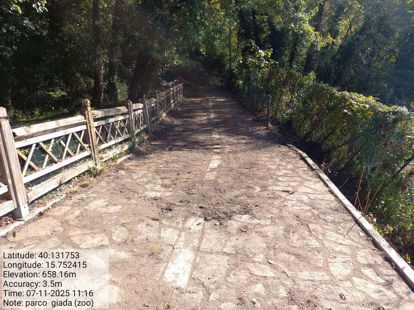 Galleria Fotografica Immagine