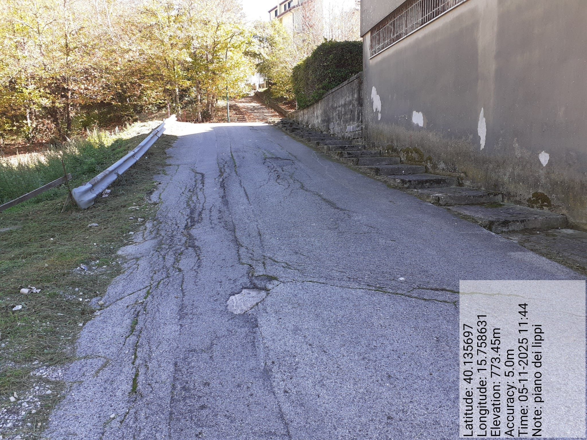 Galleria Fotografica Immagine