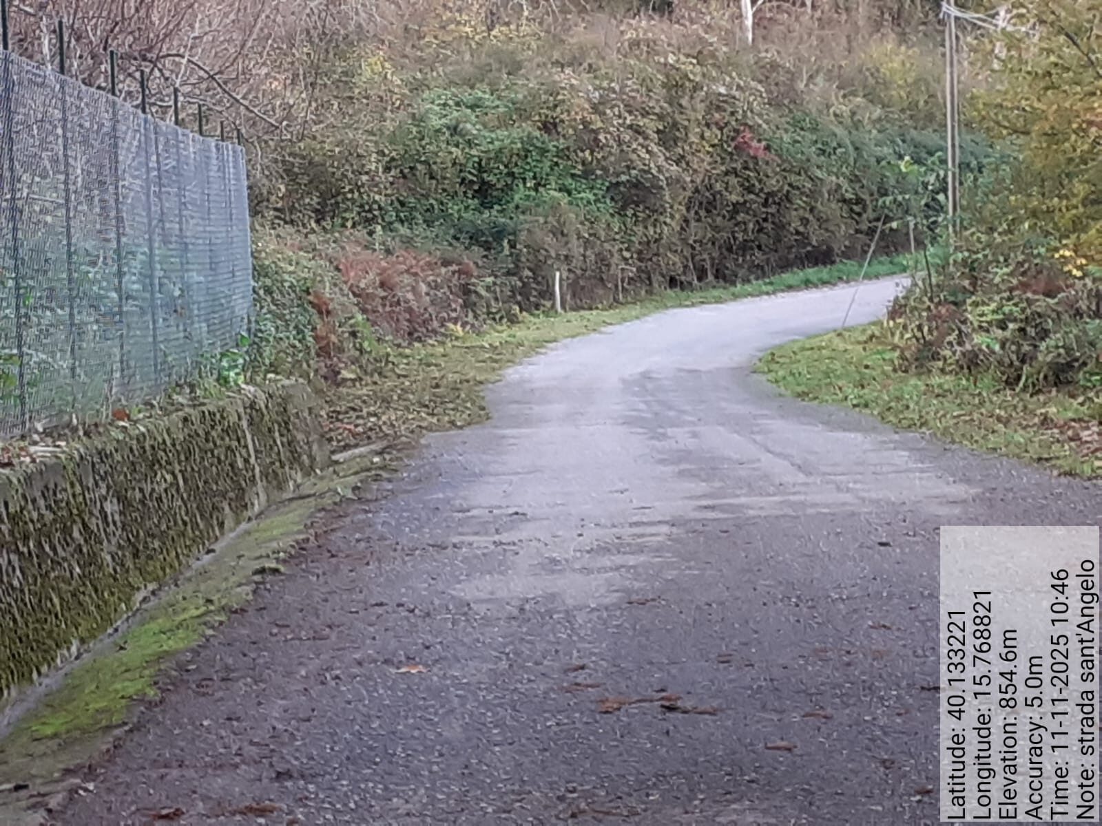 Galleria Fotografica Immagine