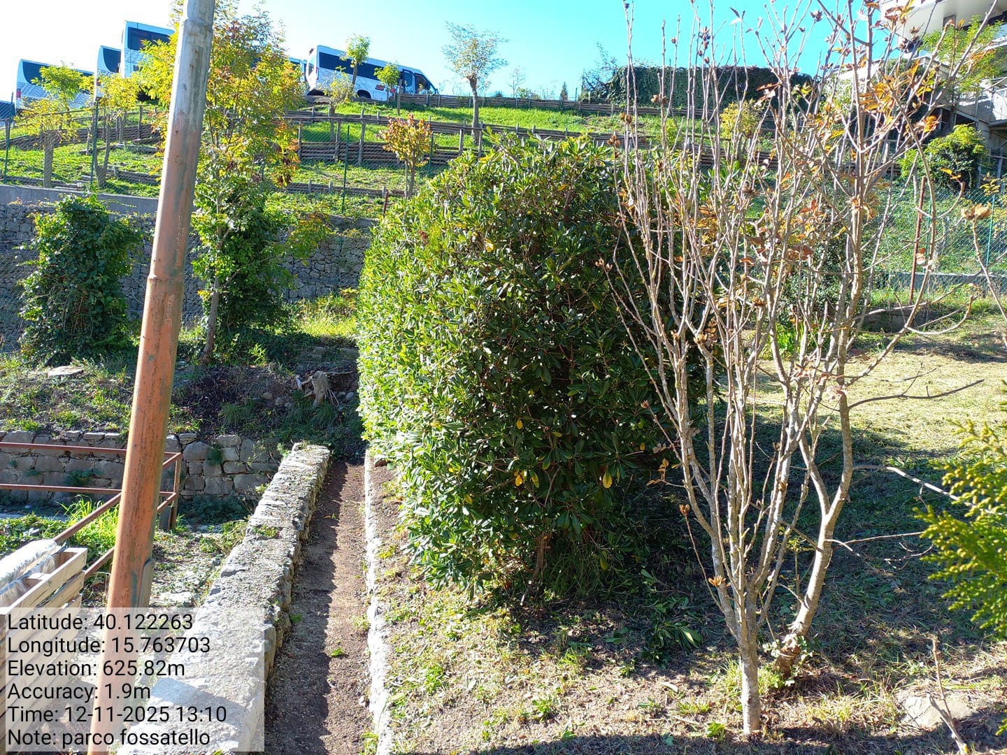 Galleria Fotografica Immagine