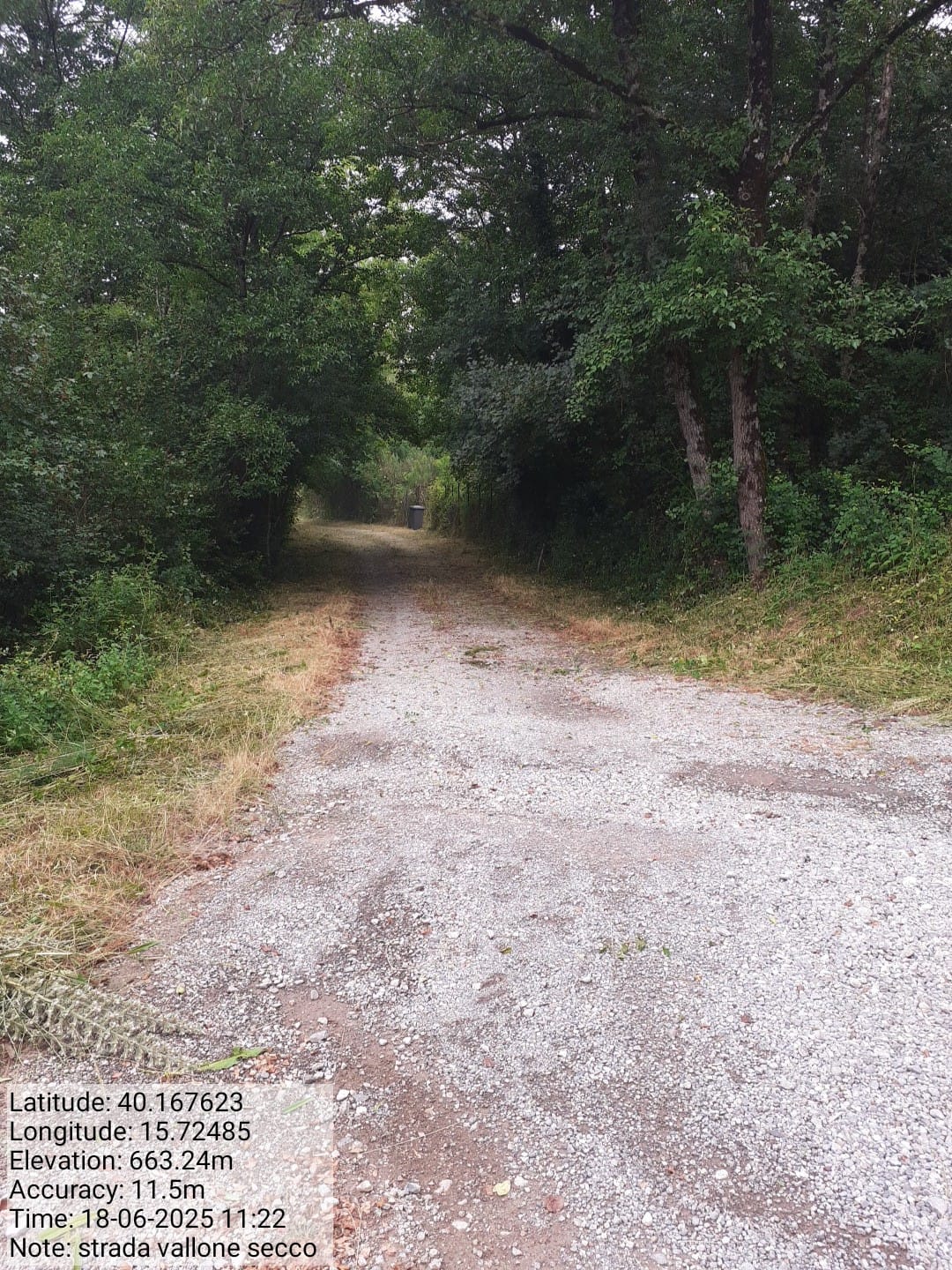 Galleria Fotografica Immagine