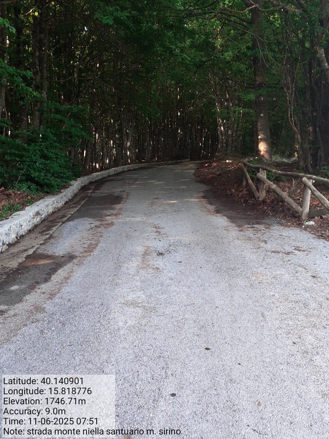 Galleria Fotografica Immagine