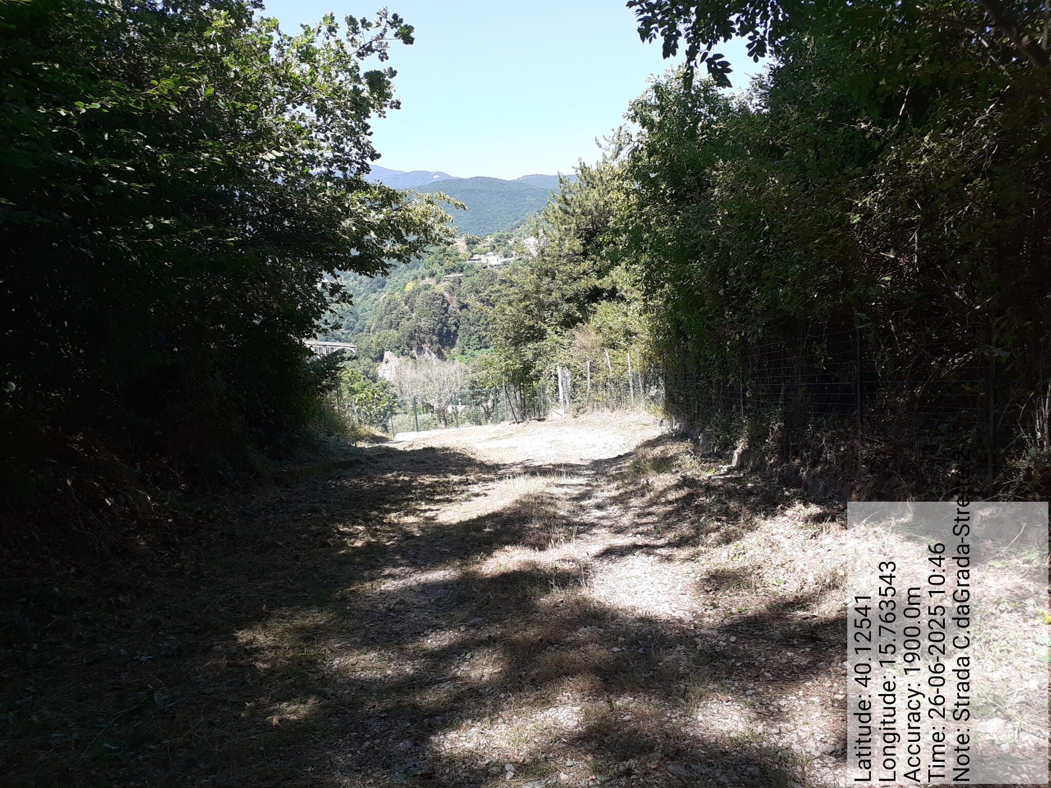 Galleria Fotografica Immagine