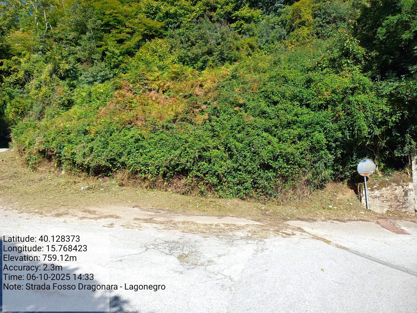 Galleria Fotografica Immagine