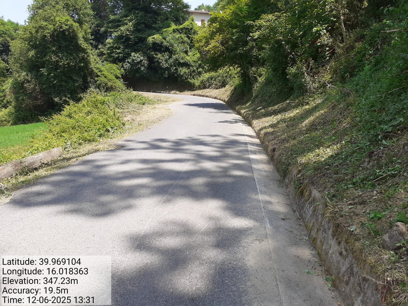 Galleria Fotografica Immagine