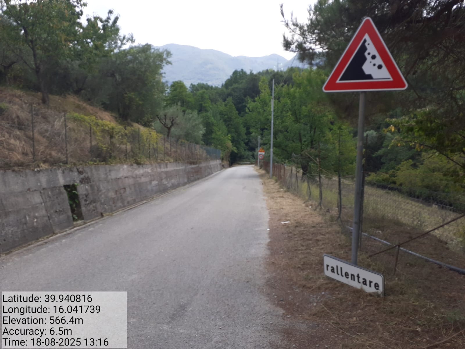 Galleria Fotografica Immagine