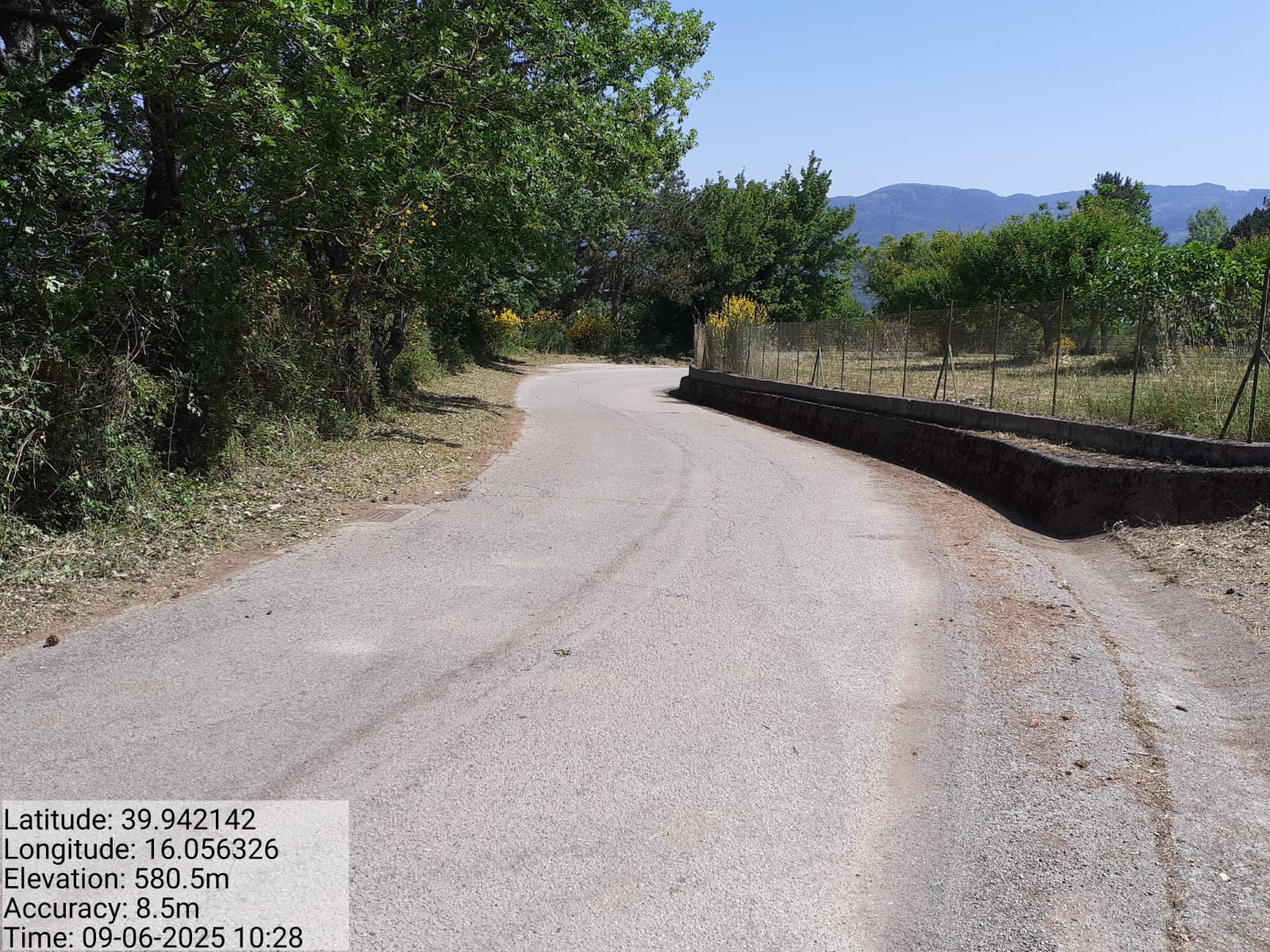 Galleria Fotografica Immagine