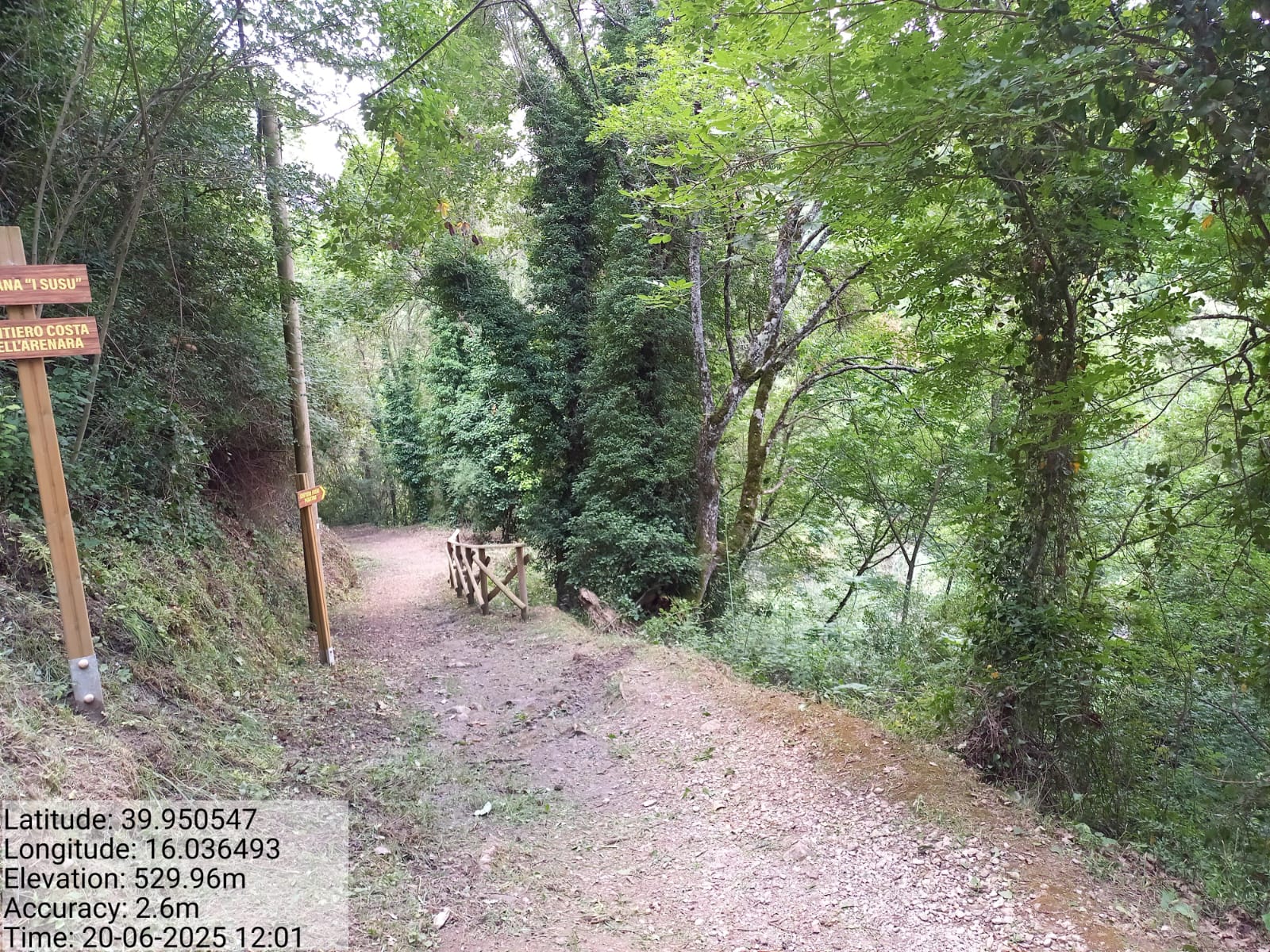 Galleria Fotografica Immagine