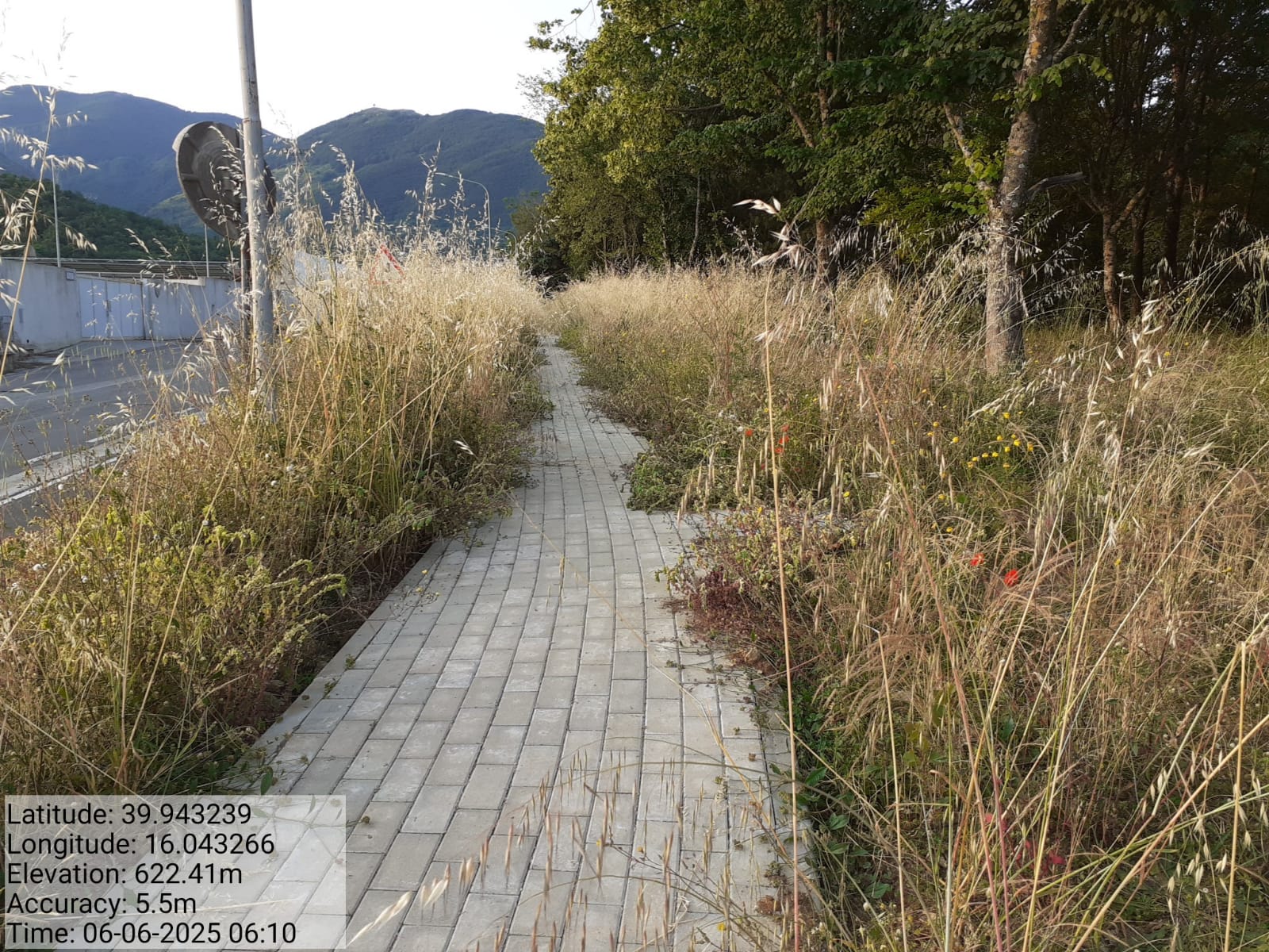 Galleria Fotografica Immagine