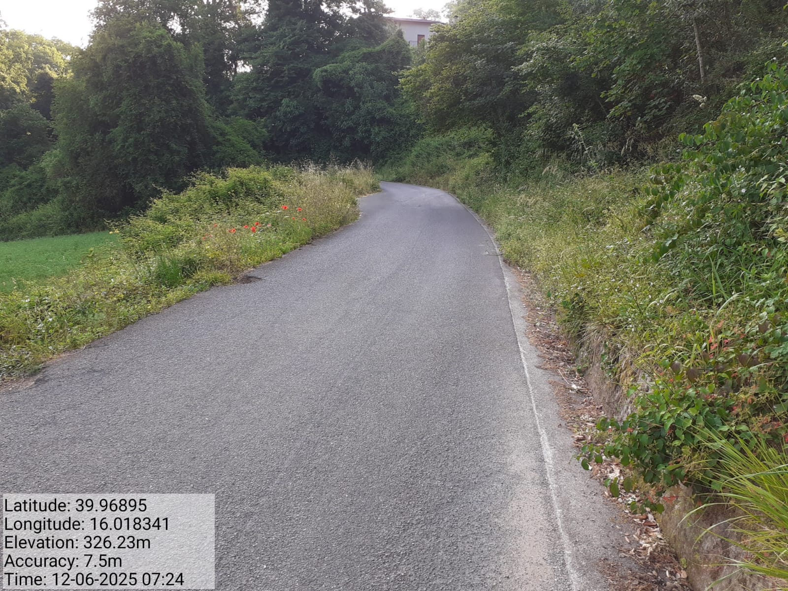 Galleria Fotografica Immagine