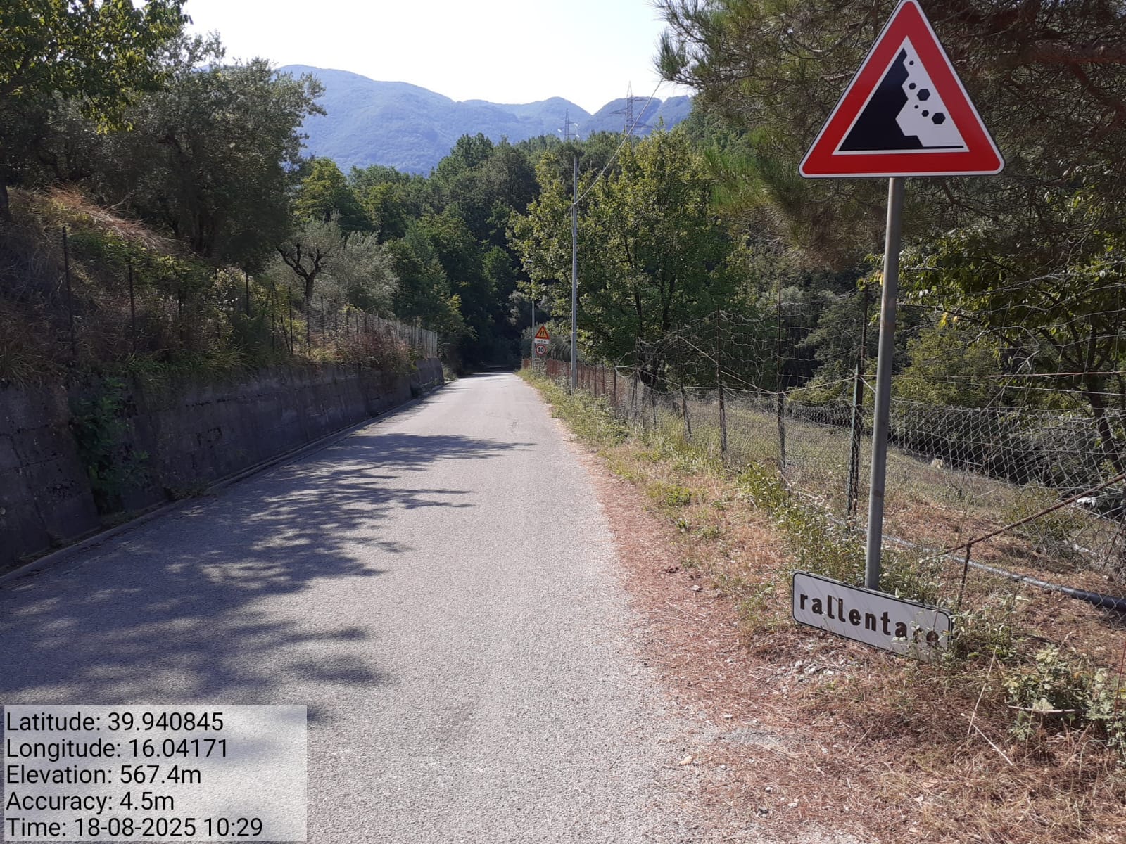 Galleria Fotografica Immagine