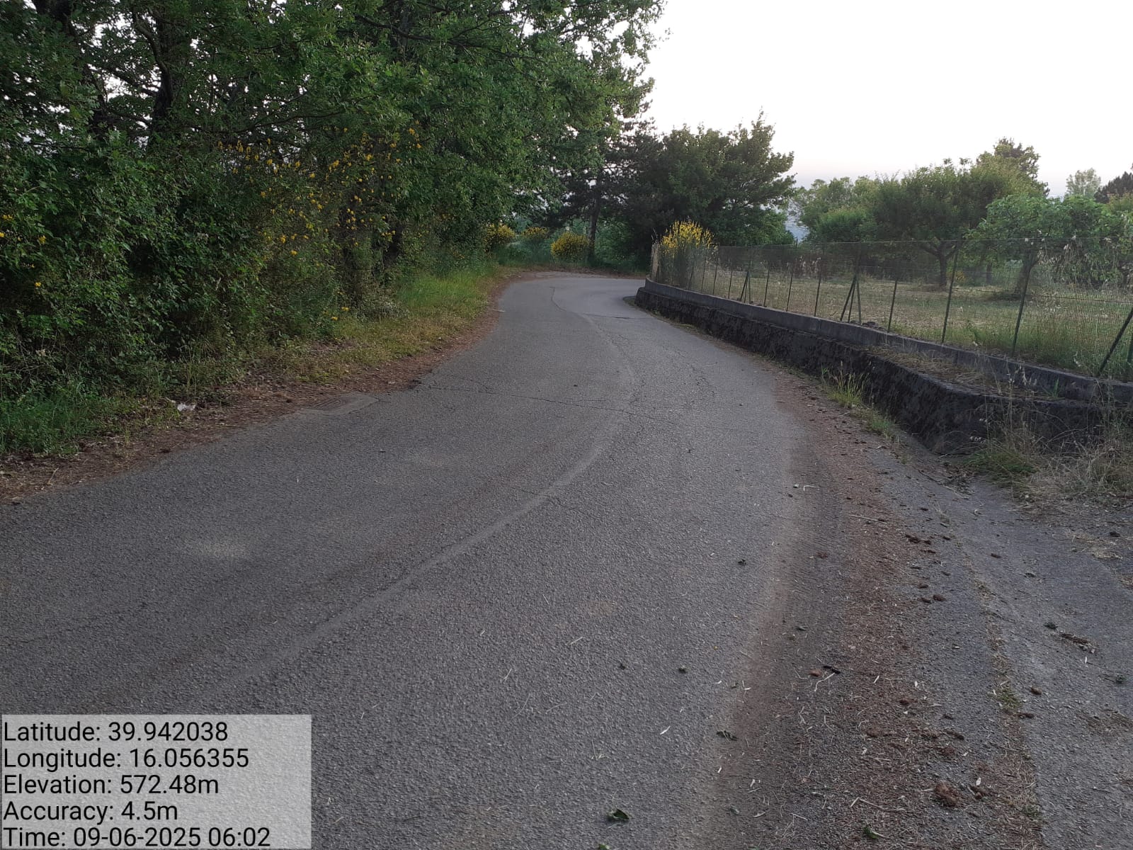 Galleria Fotografica Immagine