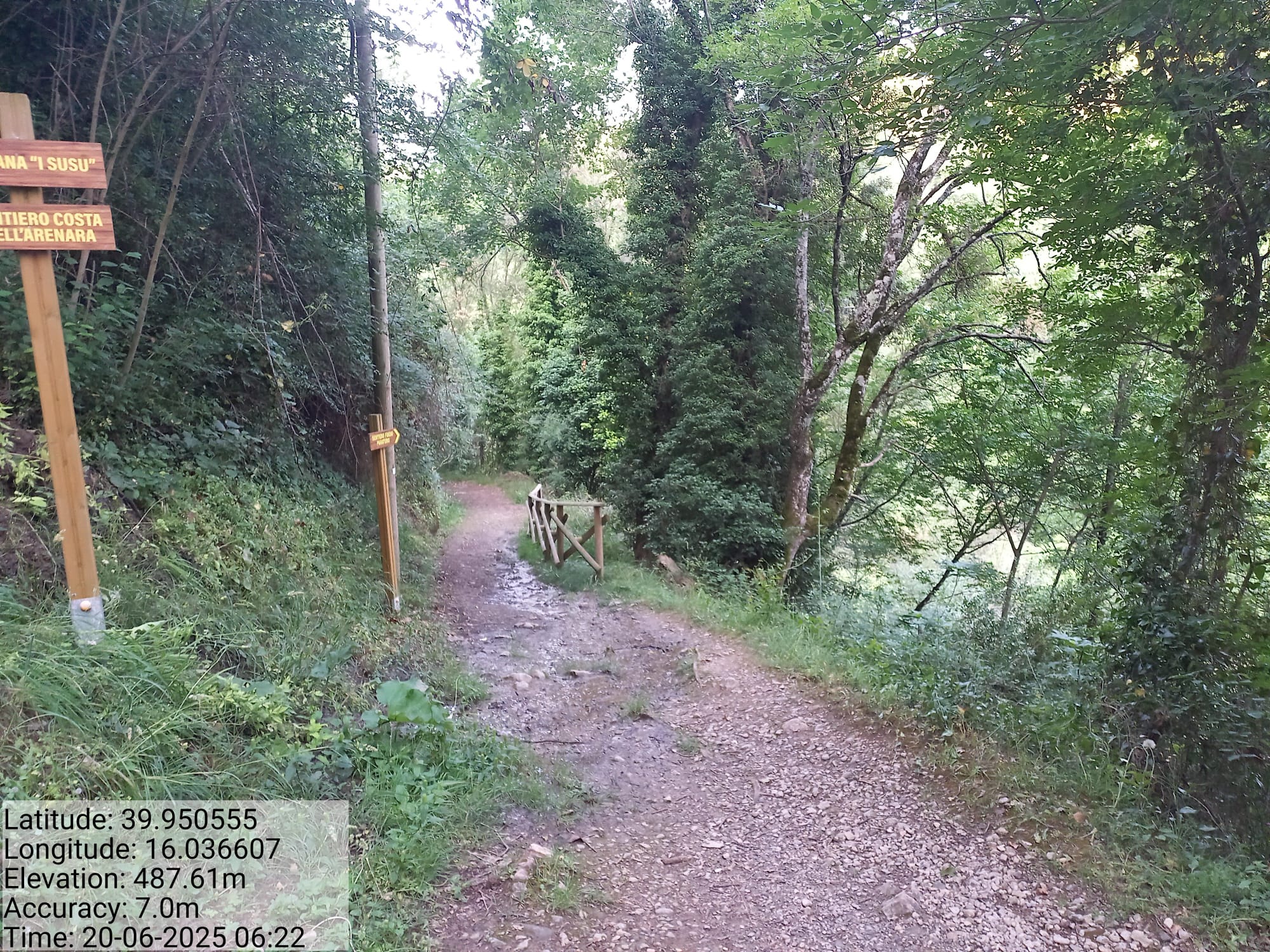 Galleria Fotografica Immagine