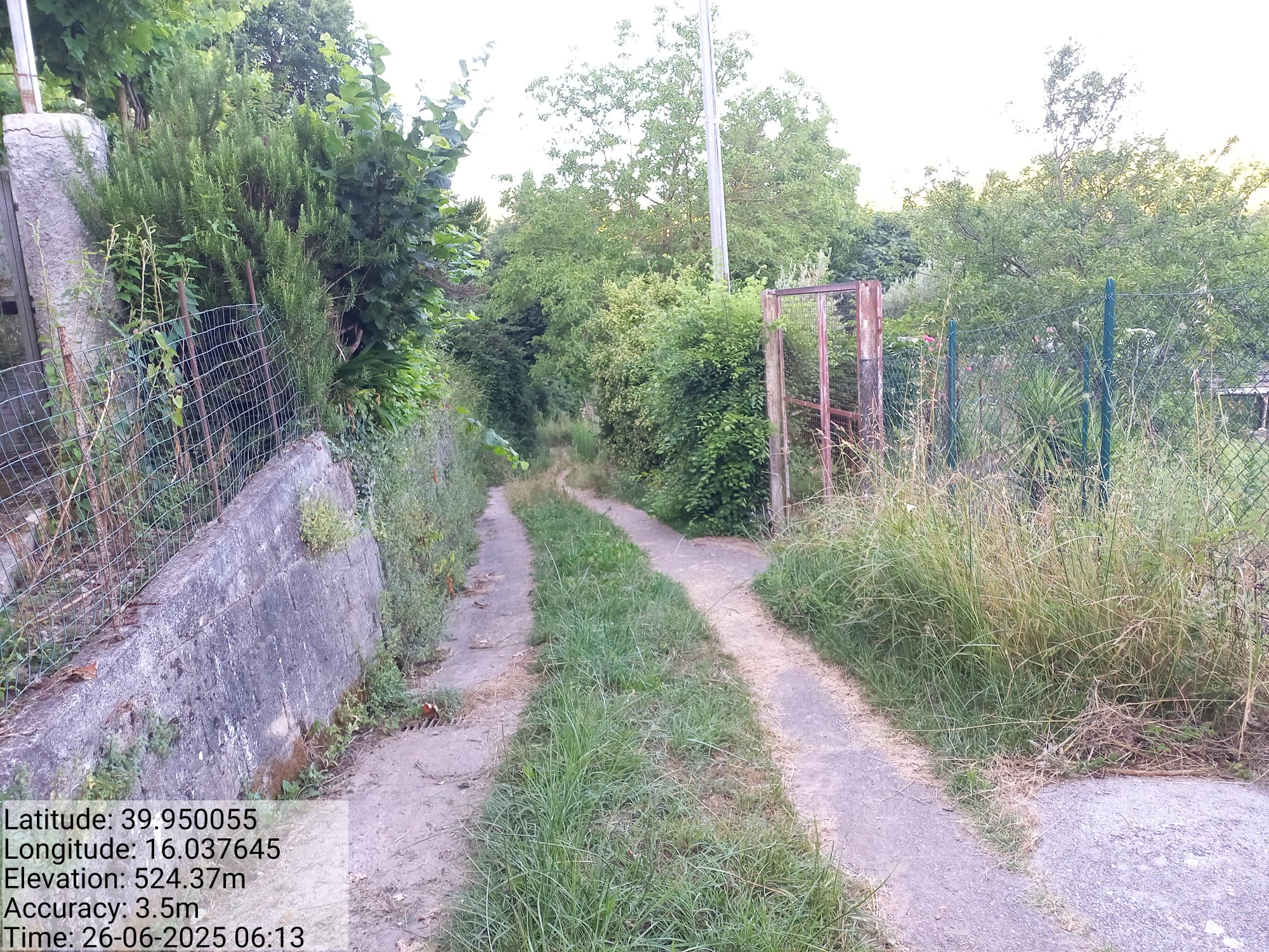 Galleria Fotografica Immagine