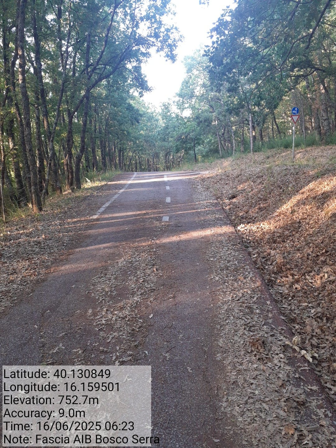 Galleria Fotografica Immagine