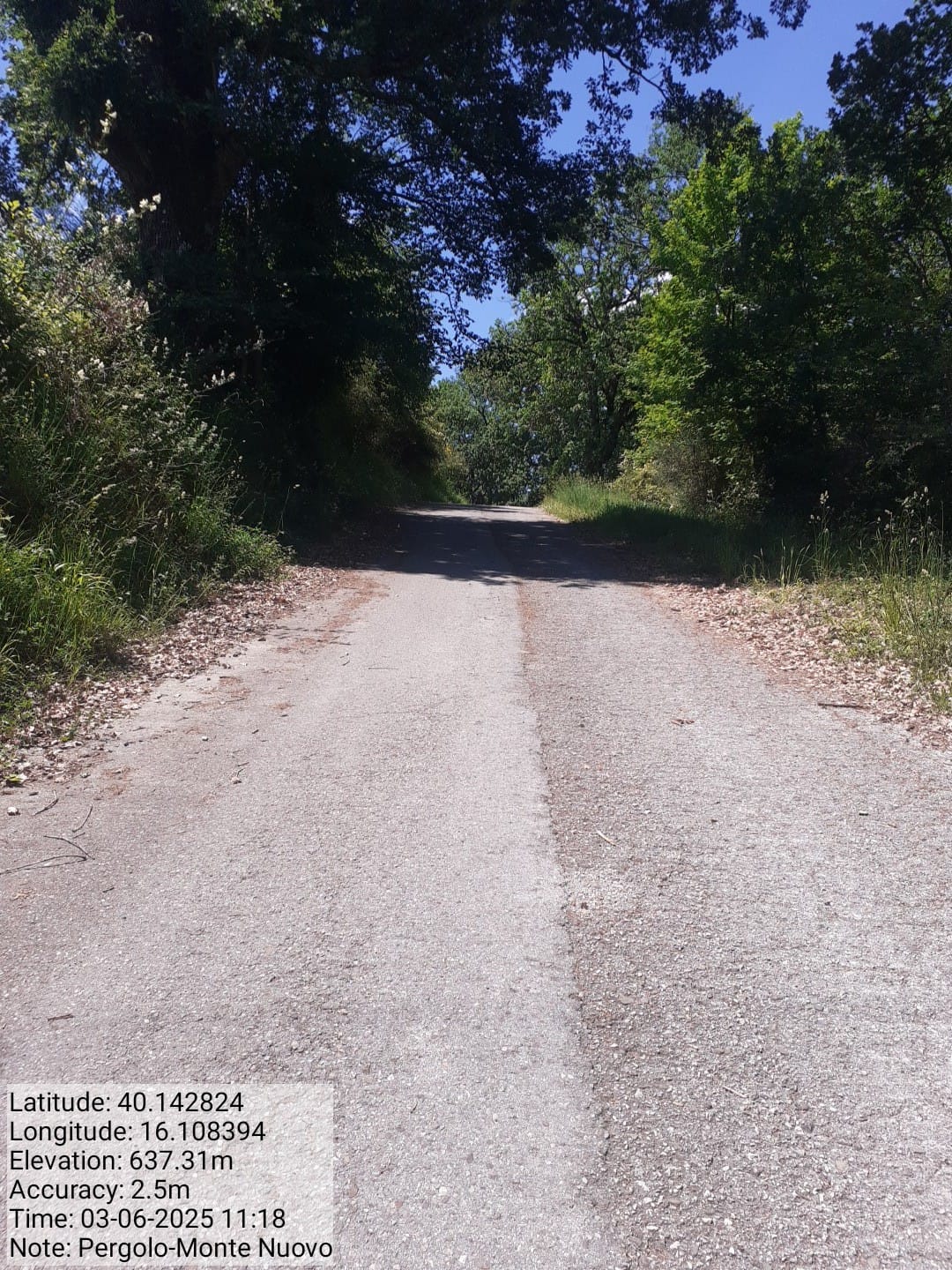 Galleria Fotografica Immagine