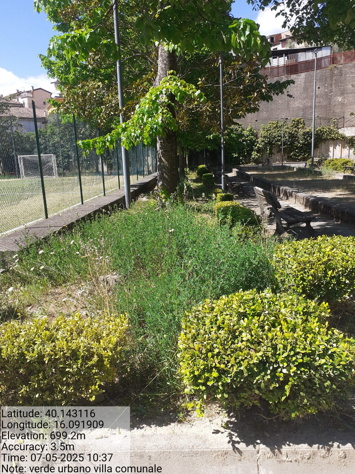 Galleria Fotografica Immagine