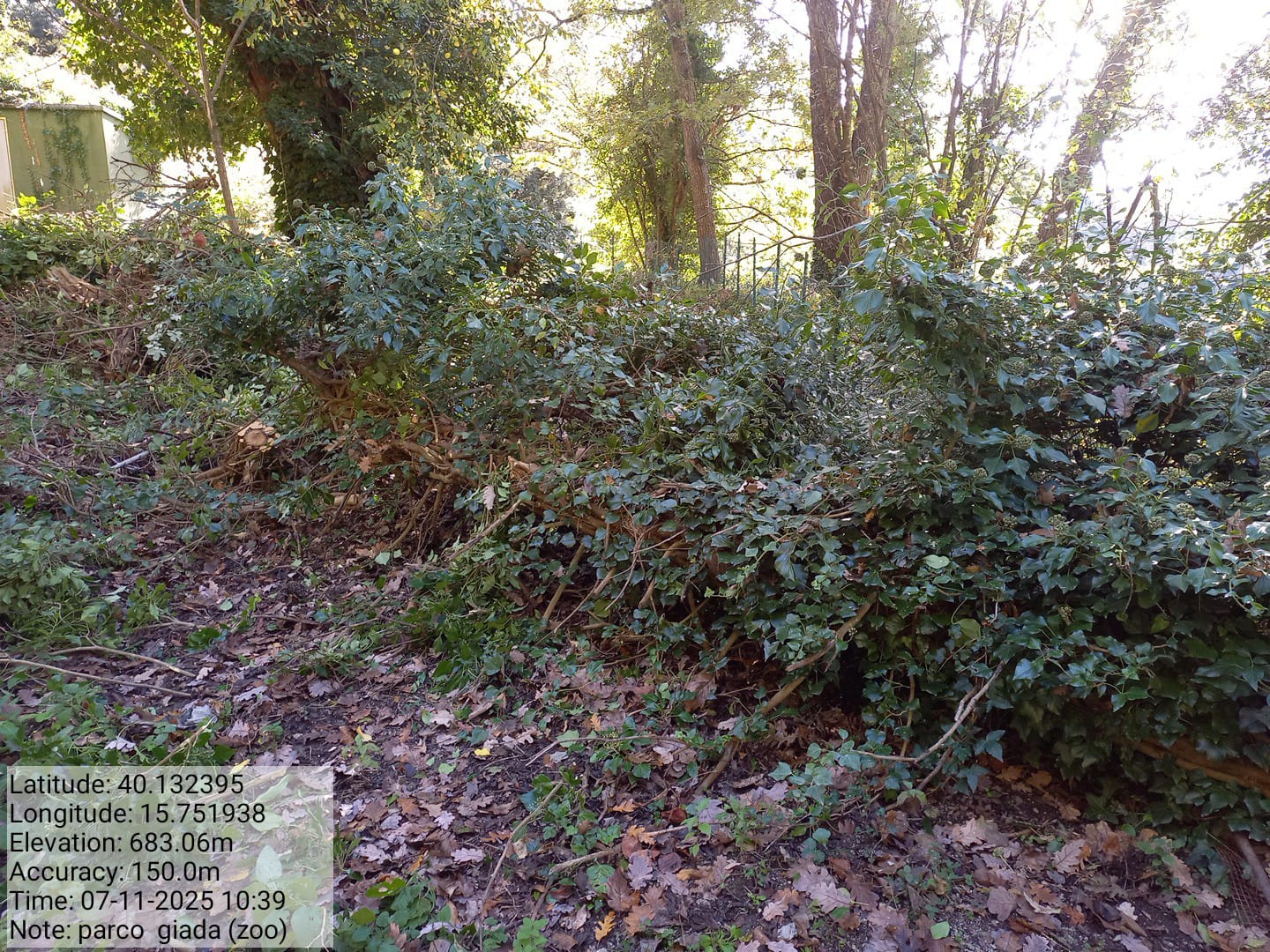 Galleria Fotografica Immagine