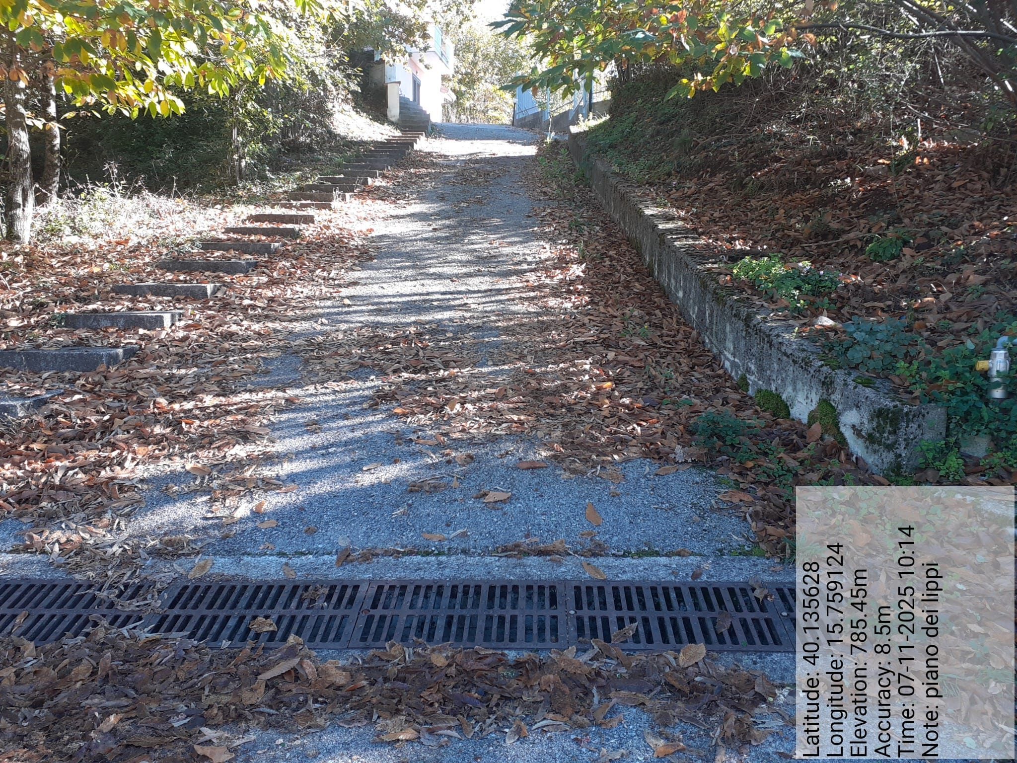 Galleria Fotografica Immagine